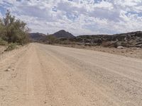 African Landscape: Dirt Road Surrounded by Nature