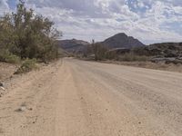 African Landscape: Dirt Road Surrounded by Nature