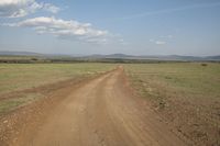 the dirt road goes through the plains toward the zebras and the sky in the distance