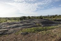 Off-Road Track in the African Savanna