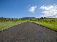 Agricultural Land Lot: Farm Vegetation in View