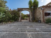 Agricultural Scene in Majorca, Balearic Islands