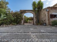 Agricultural Scene in Majorca, Balearic Islands