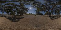 the moon is shining brightly above a field in the afternoon sun, as seen through a 360 - mirror