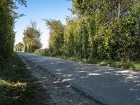 a bike on the road near trees and bushes in the countryside area of a rural country road