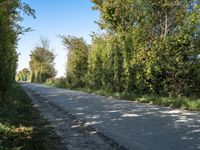 a bike on the road near trees and bushes in the countryside area of a rural country road