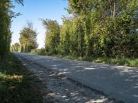 a bike on the road near trees and bushes in the countryside area of a rural country road