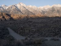 Exploring Alabama Hills' Desert Tracks at Dawn