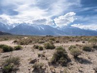 Alabama Hills: Off-Roading in California's Desert