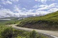 a road passes through the mountains between trees and green grass on either side are snow capped peaks