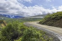 a road passes through the mountains between trees and green grass on either side are snow capped peaks