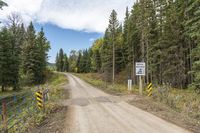 a dirt road surrounded by trees with caution signs on the side of the road next to it