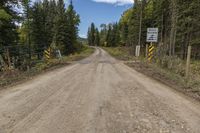 Alberta, Canada: Dirt Road through Forest Vegetation-001