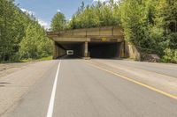 a tunnel on an empty highway in the woods at the base of some trees and a paved road to it