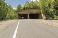 a tunnel on an empty highway in the woods at the base of some trees and a paved road to it