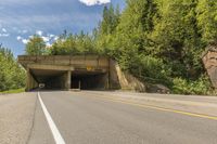 a tunnel on an empty highway in the woods at the base of some trees and a paved road to it