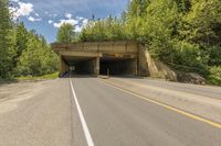 a tunnel on an empty highway in the woods at the base of some trees and a paved road to it