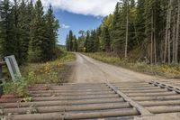 Alberta Foothill Dirt Road Landscape