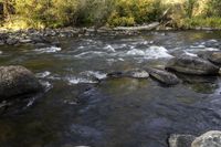 the river flows down several large rocks to a shore filled with water and vegetation covered in fall foliage