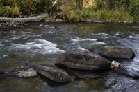 the river flows down several large rocks to a shore filled with water and vegetation covered in fall foliage