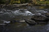 the river flows down several large rocks to a shore filled with water and vegetation covered in fall foliage