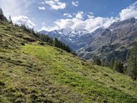 green grass and wildflowers in the alpine mountainside with snow covered peaks on both sides