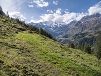 green grass and wildflowers in the alpine mountainside with snow covered peaks on both sides