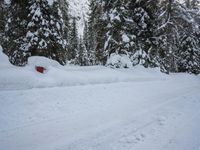 a fire hydrant covered in snow next to trees with no leaves and no branches