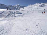 Alps: Clear Sky and Nature During the Day