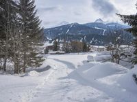 a person walking through the snow with skiis in their hand and a dog walking on them