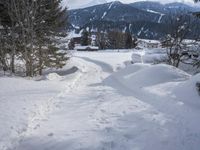 a person walking through the snow with skiis in their hand and a dog walking on them