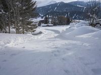 a person walking through the snow with skiis in their hand and a dog walking on them