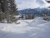 a person walking through the snow with skiis in their hand and a dog walking on them