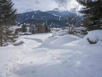 a person walking through the snow with skiis in their hand and a dog walking on them