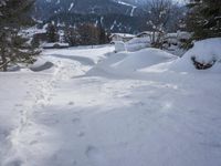 a person walking through the snow with skiis in their hand and a dog walking on them