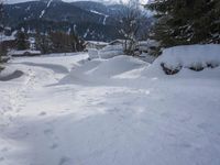a person walking through the snow with skiis in their hand and a dog walking on them
