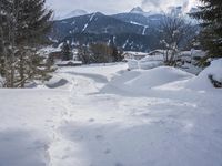 a person walking through the snow with skiis in their hand and a dog walking on them