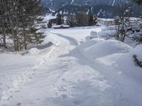 a person walking through the snow with skiis in their hand and a dog walking on them