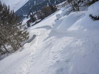 a person walking through the snow with skiis in their hand and a dog walking on them