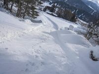 a person walking through the snow with skiis in their hand and a dog walking on them