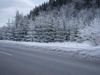 a snowy road with the road sign in front of trees on the side of the road