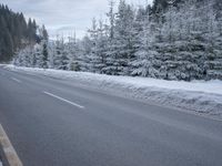 a snowy road with the road sign in front of trees on the side of the road