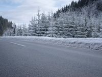 a snowy road with the road sign in front of trees on the side of the road
