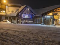 Residential Area in the Alps: Winter Night