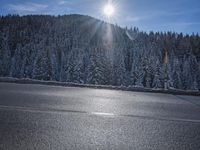 the snow is covering trees on the side of the road in front of the sun