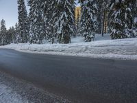 a paved road with snow all over it and pine trees on the right side of the roadway