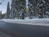 a paved road with snow all over it and pine trees on the right side of the roadway