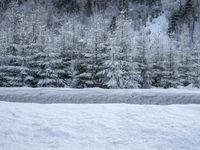Winter Landscape in the Alps
