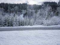 Winter Landscape in the Alps