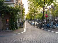 Amsterdam Architecture: Exploring City Life by Bicycle